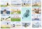 Preview: 15 postcards different art postcards North Sea lighthouse Westerhever Jever beach sunset sea dune seal dyke sheep - watercolor